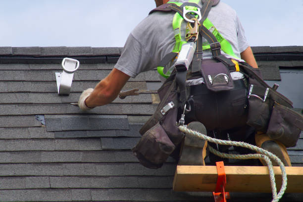 Best Roof Gutter Cleaning  in Johnson, AR