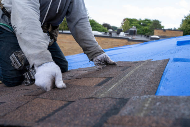 Best New Roof Installation  in Johnson, AR