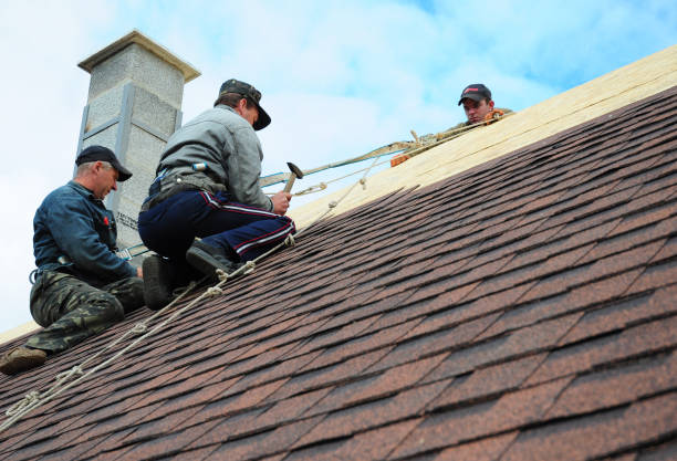 Professional Roofing Contractor in Johnson, AR